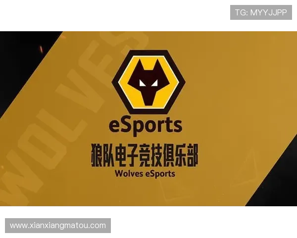 深度解析KY体育电竞的技术创新与赛事运营策略，提升行业竞争力